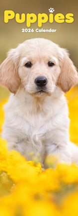 Puppies Slim Calendar 2026  Dog Breed Slimline