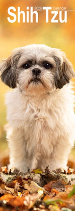 Shih Tzu Slim Calendar 2026  Dog Breed Slimline