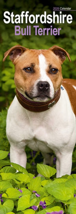 Staffordshire Bull Terrier Slim Calendar 2026