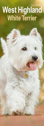 West Highland Terrier Slim Calendar 2026  Dog