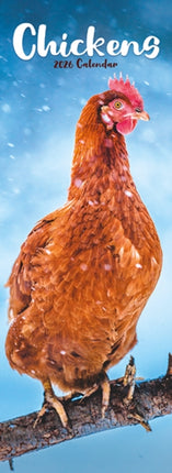 Chickens Slim Calendar 2026  Bird Slimline