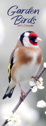 Garden Birds Slim Calendar 2026  Bird Slimline