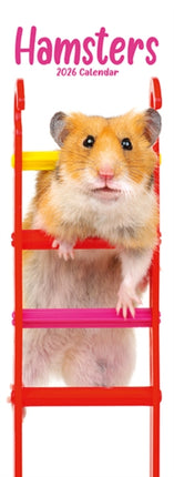 Hamsters Slim Calendar 2026  Cute Slimline