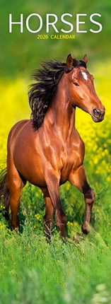 Horses Slim Calendar 2026  Horses Slimline