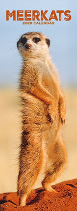Meerkats  Slim Calendar 2026 Cute Slimline