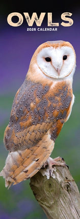 Owls Slim Calendar 2026  Bird Slimline Calendar