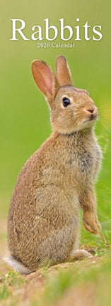 Rabbits Slim Calendar 2026  Cute Slimline