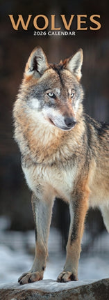 Wolves Slim Calendar 2026  Slimline Calendar  12