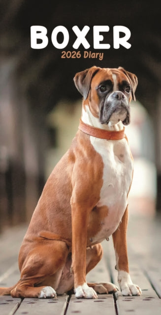 Boxers Slim Diary 2026