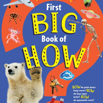 First Big Book of How