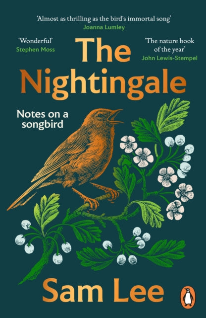 The Nightingale: ‘The nature book of the year’