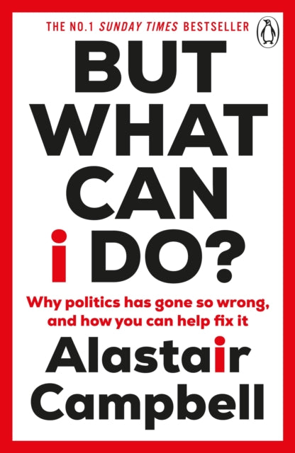 But What Can I Do?: Why Politics Has Gone So Wrong, and How You Can Help Fix It