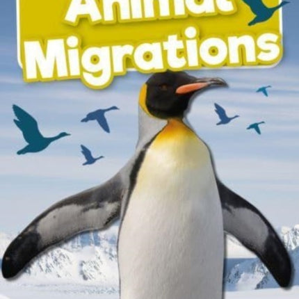 Animal Migrations