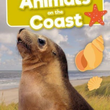 Animals on the Coast