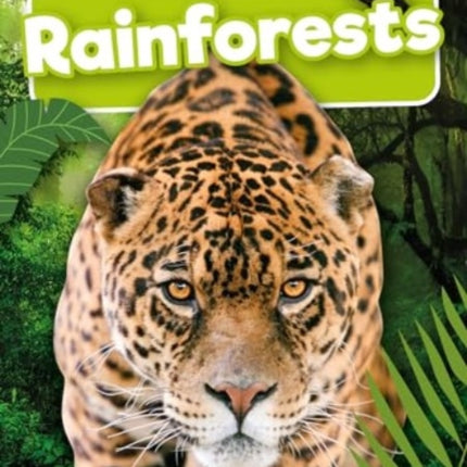 Rainforests