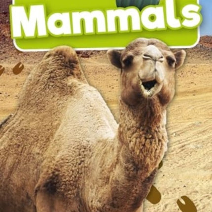 Mammals