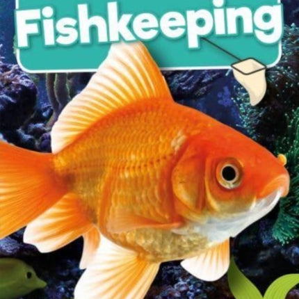 Fishkeeping