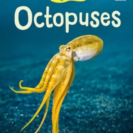 Beginners Octopuses