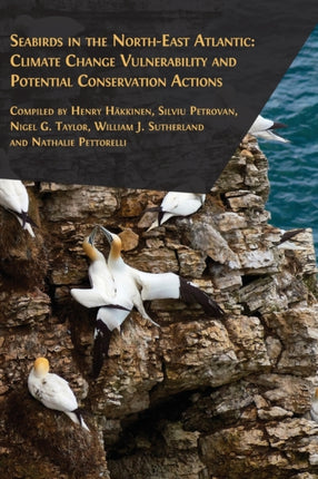 Seabirds in the NorthEast Atlantic