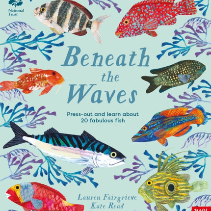 National Trust Beneath the Waves