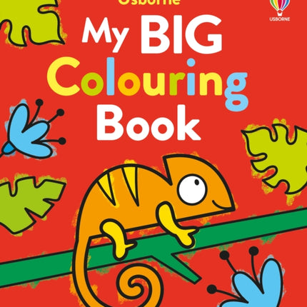 My Big Colouring Book