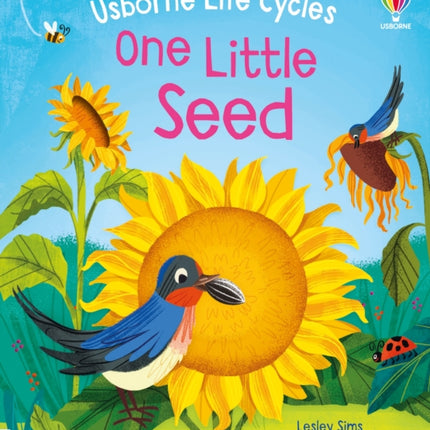 One Little Seed