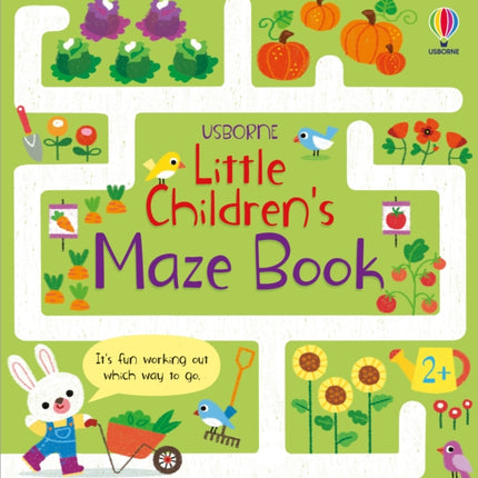 Little Children's Maze Book