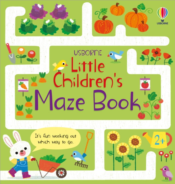 Little Children's Maze Book