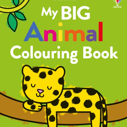 My Big Animal Colouring Book