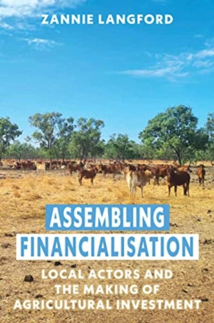 Assembling Financialisation: Local Actors and the