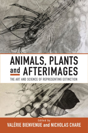 Animals Plants and Afterimages