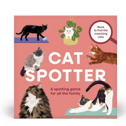 Cat Spotter