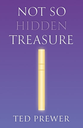 Not So Hidden Treasure