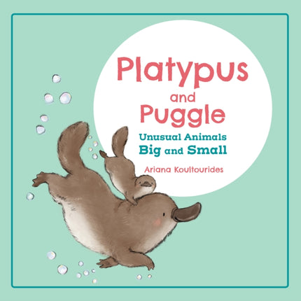 Platypus and Puggle Unusual Animals Big and Small