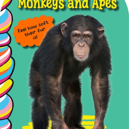 Monkeys and Great Apes Touch and Feel
