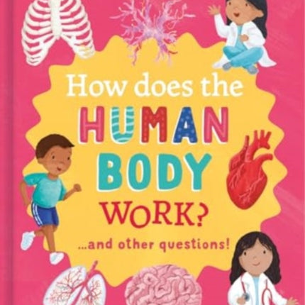 How Does the Human Body Work