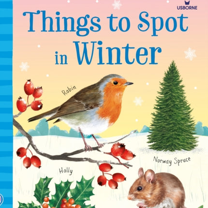 Things to Spot in Winter