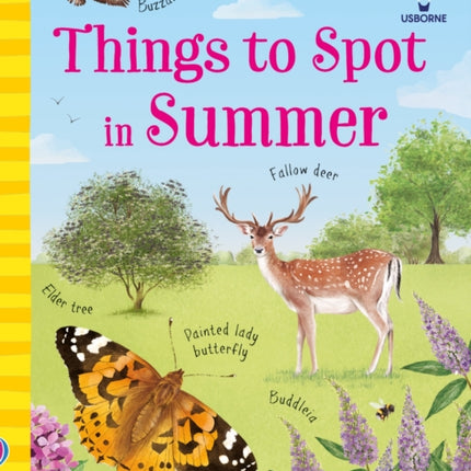 Things to Spot in Summer