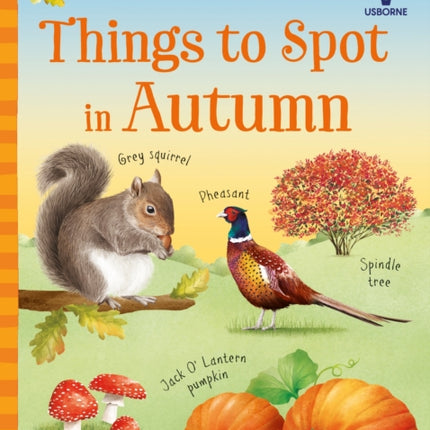 Things to Spot in Autumn