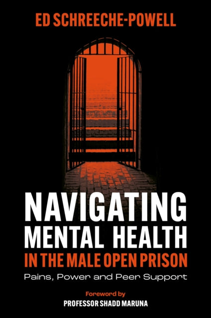 Navigating Mental Health in the Male Open Prison  Pains Power and Peer Support