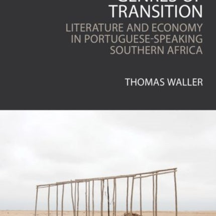 Genres of Transition Literature and Economy in