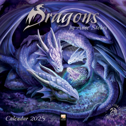 Dragons by Anne Stokes Wall Calendar 2025 Art Calendar