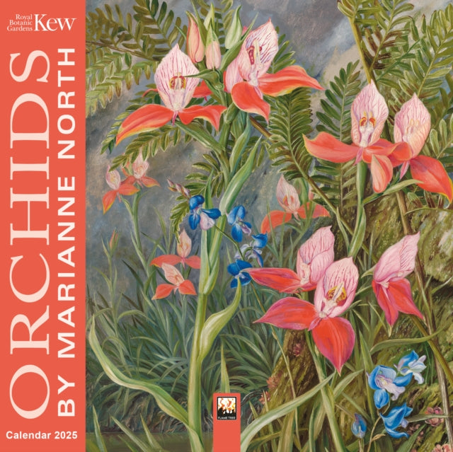 Kew Gardens Orchids by Marianne North Mini Wall Calendar 2025 Art Calendar