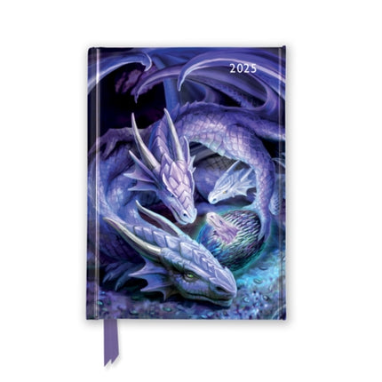 Anne Stokes Welcome Hatchling 2025 Luxury Pocket Diary Planner  Week to View