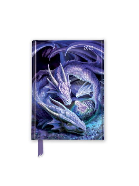 Anne Stokes Welcome Hatchling 2025 Luxury Pocket Diary Planner  Week to View