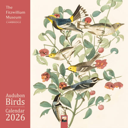 Fitzwilliam Museum Audubon Birds Wall Calendar