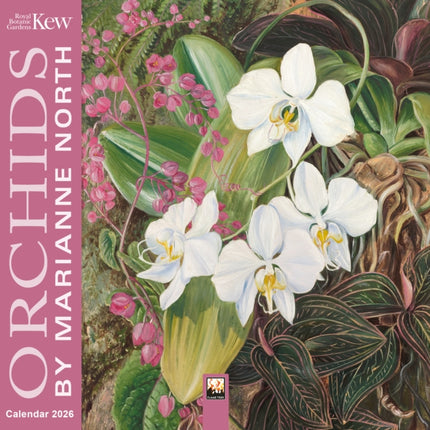Kew Gardens Orchids by Marianne North Mini Wall