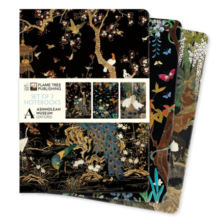 Ashmolean Museum Set of 3 Standard Notebooks
