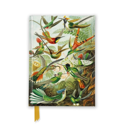 Ernst Haeckel Hummingbirds Foiled Pocket Journal