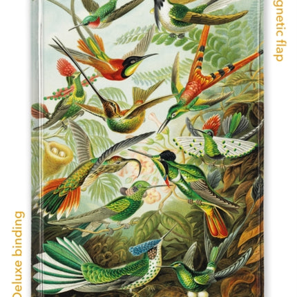 Ernst Haeckel Hummingbirds Foiled Quarto Journal